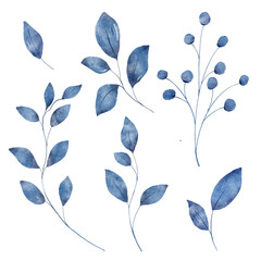 Fototapeta premium Blue&nbsp;leaves watercolor set. Hand painting floral illustration. Indigo&nbsp;leaf, plants, foliage, branches isolated on white background.