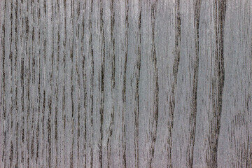 Obraz premium natural wood, with a beautiful pattern. natural gray wood background. wooden board with natural seamless texture. ash tree, view from above, horizontal, close-up.
