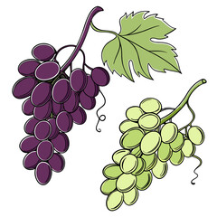 Fototapeta premium Grapes AI Vector Design for Fresh Food & Nature Themes