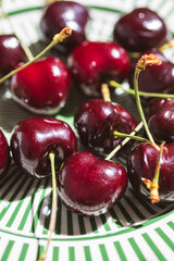 Close-up of fresh dark red cherries with stems on a decorative green striped plate, captured in natural sunlight with vibrant detail and summery freshness.