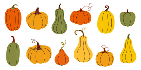 Colorful assortment of pumpkins and gourds arranged in artistic display for autumn harvest celebration