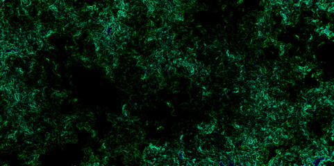 Abstract emerald green texture vector background featuring deep organic patterns with rich dark tones and marbled swirls design. digital artwork, fantasy themes, posters, wallpapers, and graphic art.