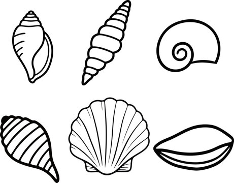 set of shells