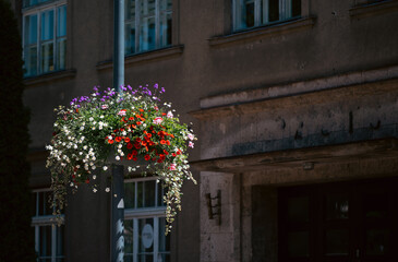 street lamp with hanging flower pot .