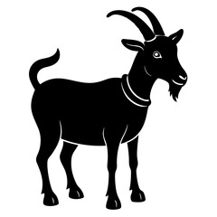 Goat with a bell on its neck silhouette on white background 
