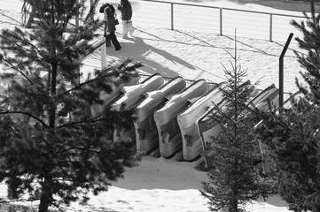 Winter chill envelops abandoned sleds while two figures wander through snow-draped pines at a...