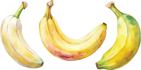 Three Watercolor Bananas