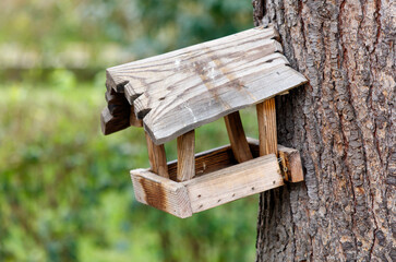 A bird feeder is hanging from a tree