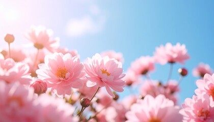 Pink cherry blossoms bloom beautifully on a tree branch, showcasing nature's delicate floral beauty in spring