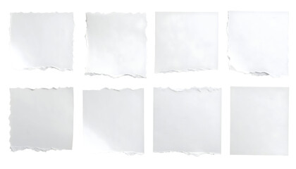 Collection of ripped white paper pieces various sizes and shapes.