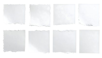 Collection of ripped white paper pieces various sizes and shapes.