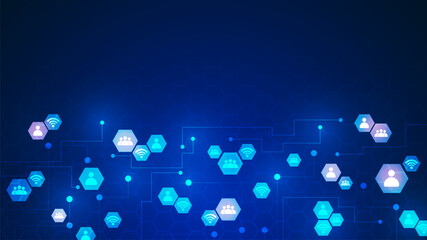 Networks and connectivity in the cyber age