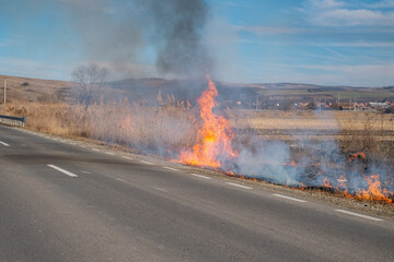 A large fire on the side of the road on a dry summer day