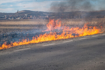 A large fire on the side of the road on a dry summer day