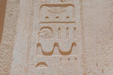 Ancient egyptian hieroglyphs depicting profile of pharaoh and symbols carved in stone wall