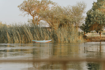 Small wooden boat moored on the river bank near lush vegetation