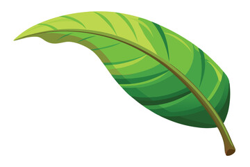 Vibrant Green Leaf Illustration Nature's Graceful Design