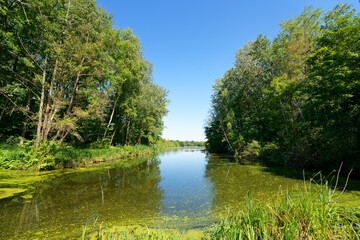Etang aux pointes in the marshes of the lower valleys of the Juine and the Essonne river. Fontenay-le-Vicomte village