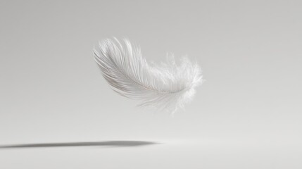 Obraz premium Single delicate white feather floating gently in mid-air, casting a soft shadow on clean white background, high-resolution, ideal for minimalist designs and wellness branding