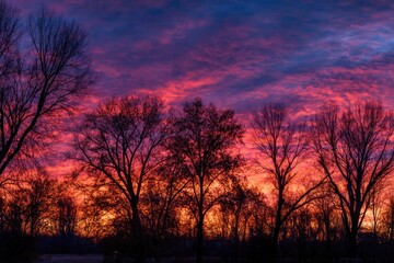 Twilight Silhouette Crimson and Azure Sky Serenity