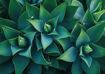 Fresh Green Plant Leaves Detailed Close-Up Photo