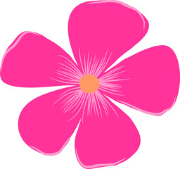 pink flower 