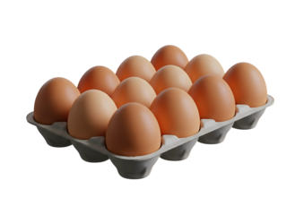 Dozen Brown Eggs in a Carton Minimalist 3D Rendering in a Soft And Smooth Renderer
