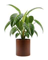 Houseplant in a Pot Minimalist 3D Rendering in a Soft And Smooth Renderer