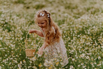 An adorable 3-year-old girl collects daisies in a wicker basket amidst a blooming field, radiating pure childhood joy and harmony with nature. Perfect for summer-themed and family content