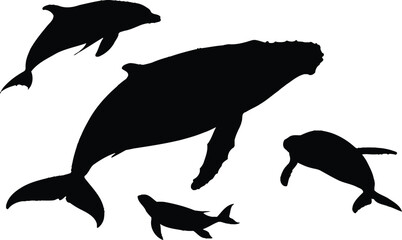 Fototapeta premium Silhouette illustration of various sea animals white background.