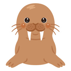 セイウチのイラスト