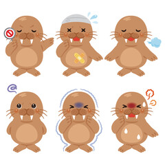 様々な状態のセイウチのキャラクターイラストセット