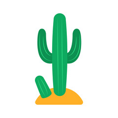 Summer  Desert Green Cactus