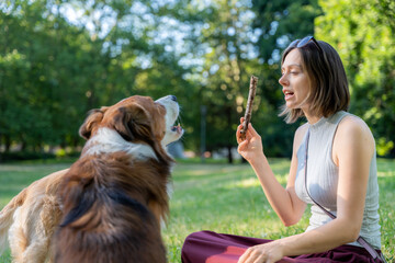 Woman playing fetch with dog holding stick in park expressing joy and human-animal interaction