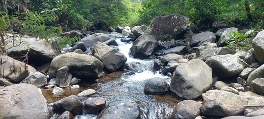 photo of natural river in village