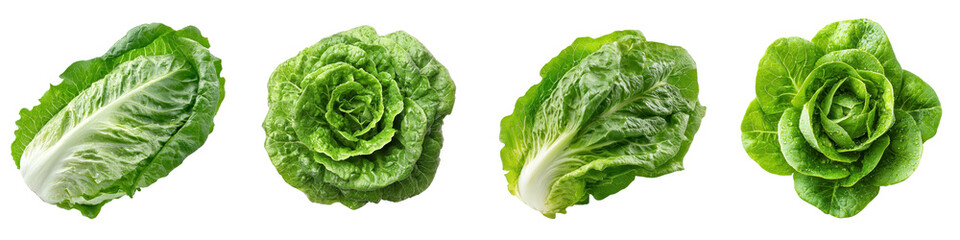 Obraz premium Lettuce isolated on white background. Collection Set Png.