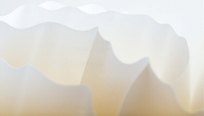Close-up of a white flower petal with delicate texture and soft lighting, highlighting subtle curves and gentle translucency