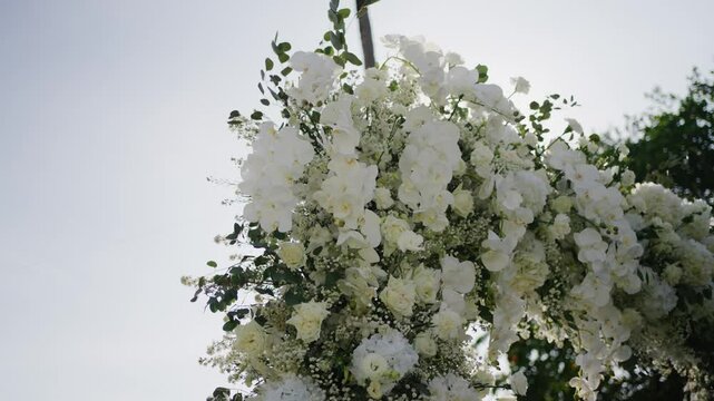 
White floral wedding arch bathed in bright sunlight, perfect for outdoor ceremonies, romantic celebrations, and elegant event backdrops.