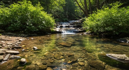 Obraz premium Serene Waterfall in Lush Green Forest
