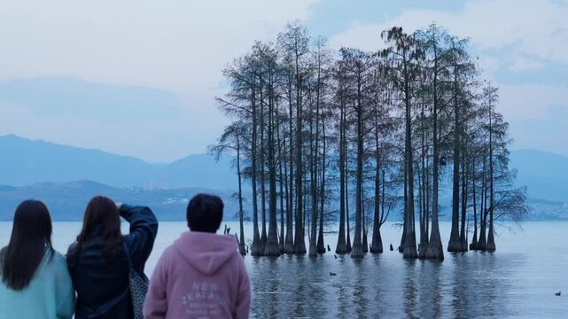 Tourists Walking Among Winter Trees by Erhai Lake