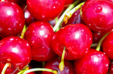 Bright, juicy cherries with water droplets in a close-up create an appetizing and fresh image. This photograph perfectly conveys a summer mood, symbolizing abundance and the taste of nature. 