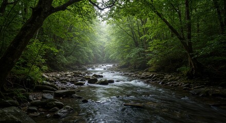 Obraz premium Serene Forest River: Tranquil Nature Scene