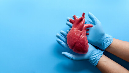 hands doctor giving a red heart, health care, organ donation, family life insurance, world heart...
