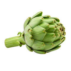 Fototapeta premium A fresh, green artichoke with tightly packed leaves and a thick stem.