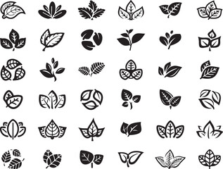 Leaf Icon Collection – Black and White Botanical Set, Nature Elements, Herbal, Minimal Foliage Vector Design