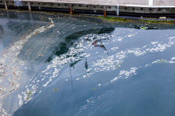 Polluted waters at Coal Harbour Marina with oil and debris floating near a wooden dock, featuring a...