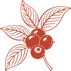 Red Berry and Leaf Sketch – Botanical Fruit Outline Vector