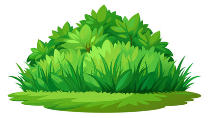Vector art of a green leafy bush with grass isolated on white background