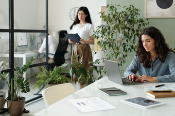 Team working in a modern office with laptops and plants
