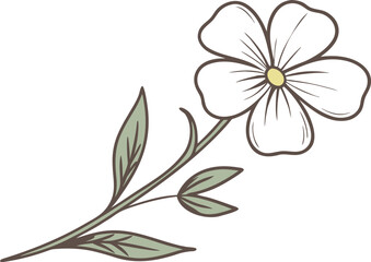 Stylized Vector Single White Flower Pale Green Leaves Brown Stem Botanical Line Art Floral Design Element